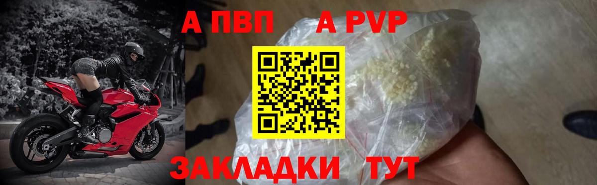 A PVP СК Бийск