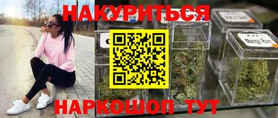 сатива Аша