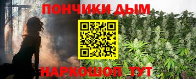 сатива Аша
