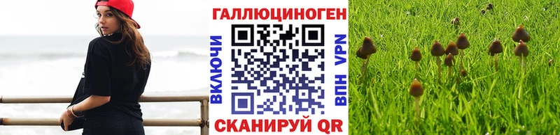 Псилоцибиновые грибы мухоморы  магазин продажи   дарк нет состав  Бийск 