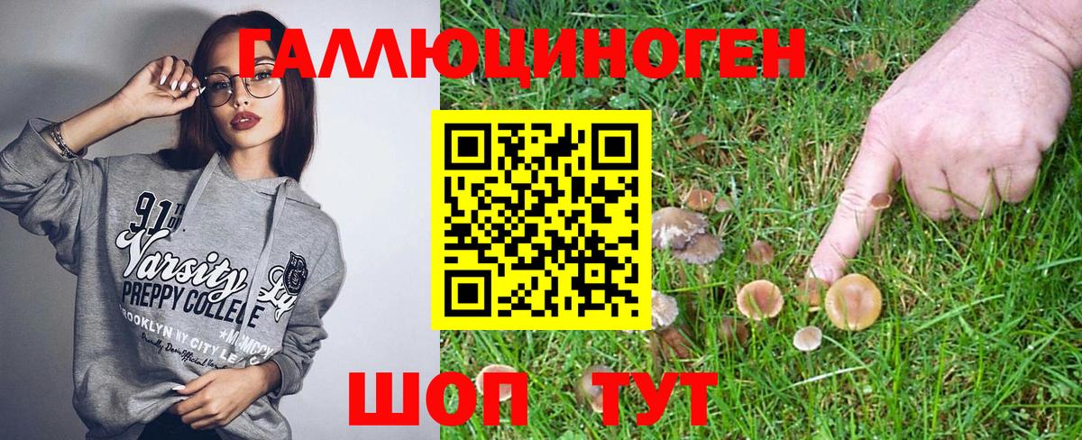 Галлюциногенные грибы мухоморы Бийск