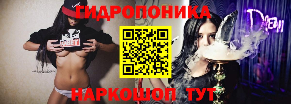 Каннабис план  Конопля семена  Бошки Шишки план  Вход с VPN  Бийск 